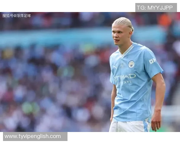 金牛座足球球星的稳定与坚韧:他们如何用实力赢得荣誉